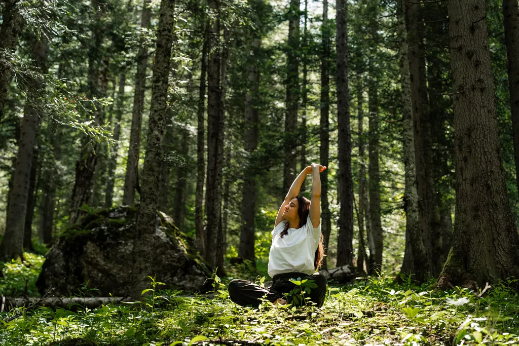 Wagrain-Kleinarl Bad Reihenhall - Re:Gen Travel - Galerie Sommer