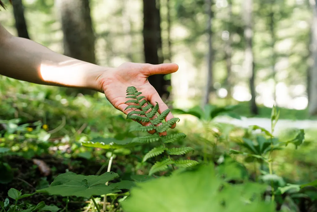 Wagrain-Kleinarl Bad Reihenhall - Re:Gen Travel - Galerie Sommer